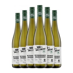 Markgräfler Für mich 100 Weißburgunder & Grauburgunder Saale-Unstrut 75 cl Vino Blanco (Caja de 6 unidades)