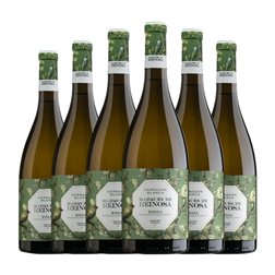 Marqués de Reinosa Garnacha Seco Rioja 75 cl Vino Blanco (Caja de 6 unidades)
