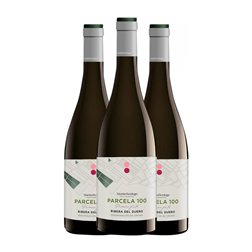 Martín Berdugo 100 Primera Fruta Tempranillo Seco Ribera del Duero Vino de Parcela Bio — Biológico 75 cl Vegano Vino Tinto (Caja de 3 unidades)