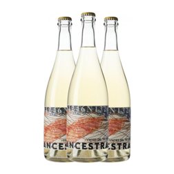 Mas Gomà Vinyes del Tiet Pere Xarel·lo Tarragona Ancestral 75 cl Espumoso Blanco (Caja de 3 unidades)