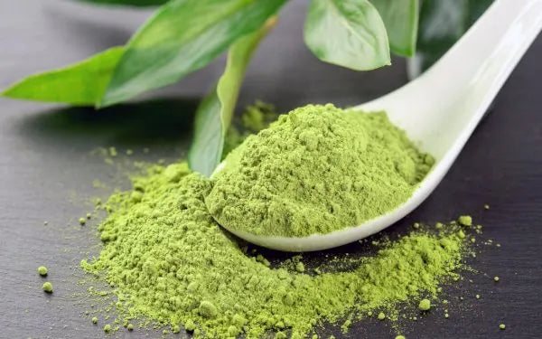 Matcha en Polvo BIO - 100g-lateral