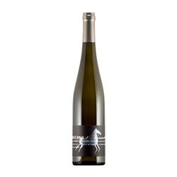 Matthias Gaul Steinrassel Riesling Trocken — Seco Pfälz 75 cl Vino Blanco
