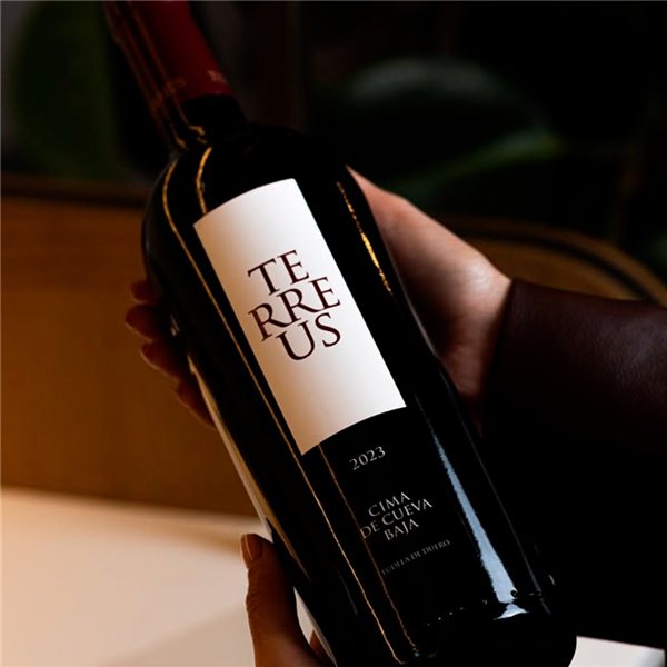 Mauro Terreus 2023-detalle