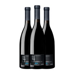 Megía Corcovo 24 Barricas Syrah Valdepeñas 75 cl Vino Tinto (Caja de 3 unidades)