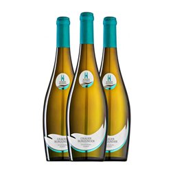 Meissen Bereich Pinot Gris Trocken — Seco Sachsen 75 cl Vino Blanco (Caja de 3 unidades)