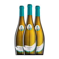 Meissen Bereich Sauvignon Trocken — Seco Sachsen 75 cl Vino Blanco (Caja de 3 unidades)