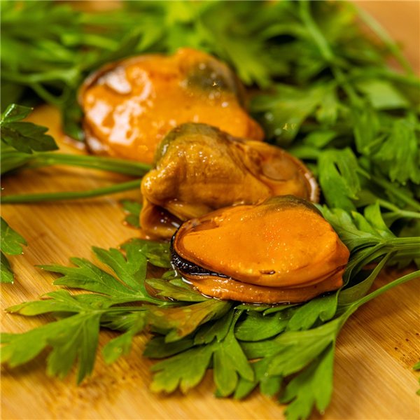 Moule d'élevage du Pacifique RO-1000 80/100 "BALEA"-trasera