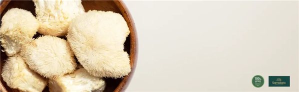 Melena de León en Polvo BIO - 100g-detalle