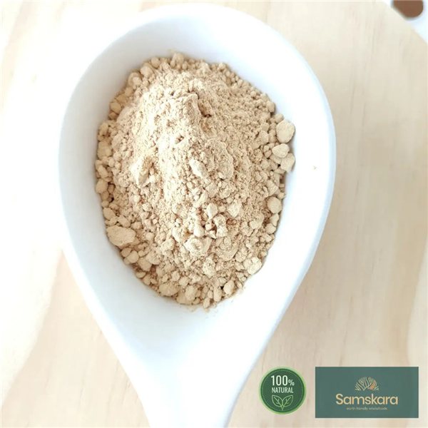 Melena de León en Polvo BIO - 100g-trasera