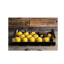 Calanda Peach DOP 20/22 Units