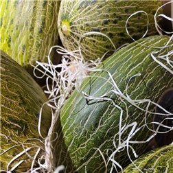 Melón Pack 2 piezas (pieza aprox.2kg cada una)