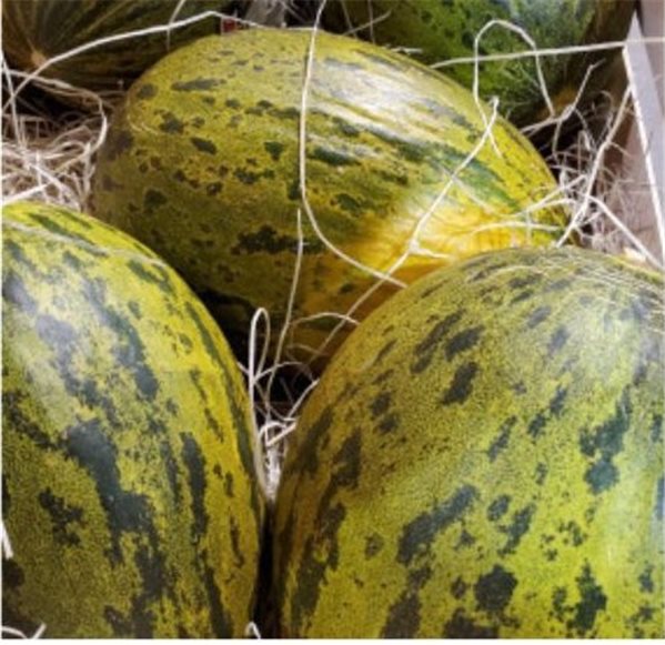 Melón Pack 3 piezas (pieza aprox.3kg cada una)-lateral