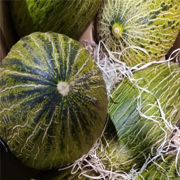Melón Pack 3 piezas (pieza aprox.3kg cada una)-trasera