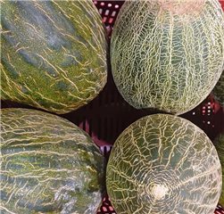 Melón piel de Sapo (pieza aprox.2kg)