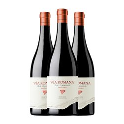 Méndez Rojo Vía Romana do Camiño Mencía Ribeira Sacra Barrica 75 cl Vino Tinto (Caja de 3 unidades)