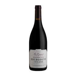 Meo Camuzet Hemisphere Nord Pinot Negro Bourgogne Côte d'Or 75 cl Vino Tinto