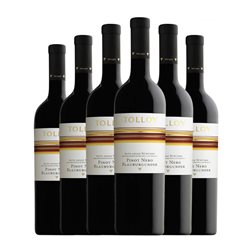 Mezzacorona Tolloy Pinot Negro Südtirol Alto Adige 75 cl Vino Blanco (Caja de 6 unidades)