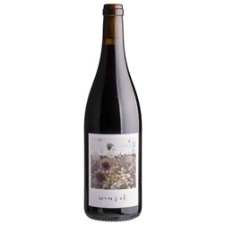 'Michael Wenzel Pinot Noir Kalkstein 2023'