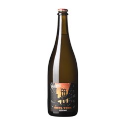 Microbio Nieva York Verdejo Pét-Nat Pétillant Naturel — Espumoso Natural Reserva 75 cl Espumoso Blanco
