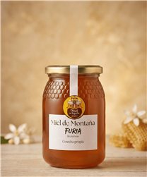 Miel de Montaña - 1000 gr