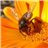 Miel Mil flores-detalle