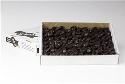 Mini Socorritos Chocolate Bows 1 KG (bulk)