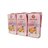 Minibrick Peach & Passionfruit Stevia Bio Tea 3x200ml Hollinger-detalle