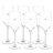 Moet & Chandon Brut Imperial Pack All In One +  6 Glasses-trasera
