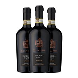 Mondo del Vino Villa Pani Barbera d'Asti Superiore — Superior 75 cl Vino Tinto (Caja de 3 unidades)