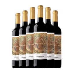 Monte da Ravasqueira Encantado Alentejo Roble 75 cl Vino Tinto (Caja de 6 unidades)