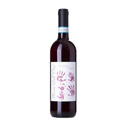 Monte dall'Ora Saseti Valpolicella Classico — Clásico Eco — Ecológico 75 cl Vino Tinto