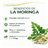 Moringa Cápsulas 500 mg – 90 Cápsulas Vegetales | Moringa Oleifera en Polvo | 1500 mg Dosis Diaria-detalle
