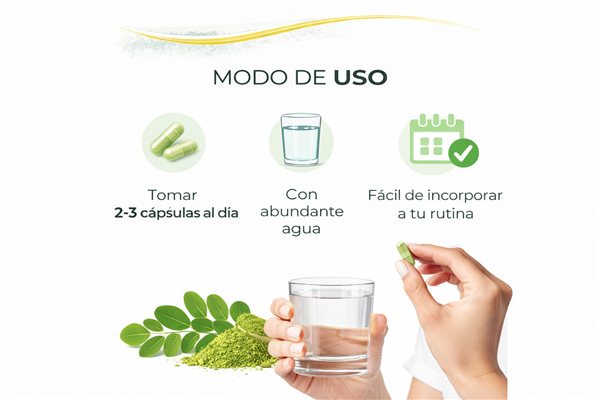 Moringa Cápsulas 500 mg – 90 Cápsulas Vegetales | Moringa Oleifera en Polvo | 1500 mg Dosis Diaria-lateral