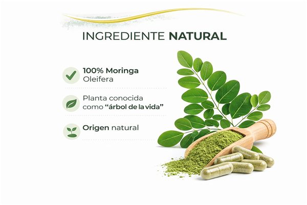 Moringa Cápsulas 500 mg – 90 Cápsulas Vegetales | Moringa Oleifera en Polvo | 1500 mg Dosis Diaria-trasera