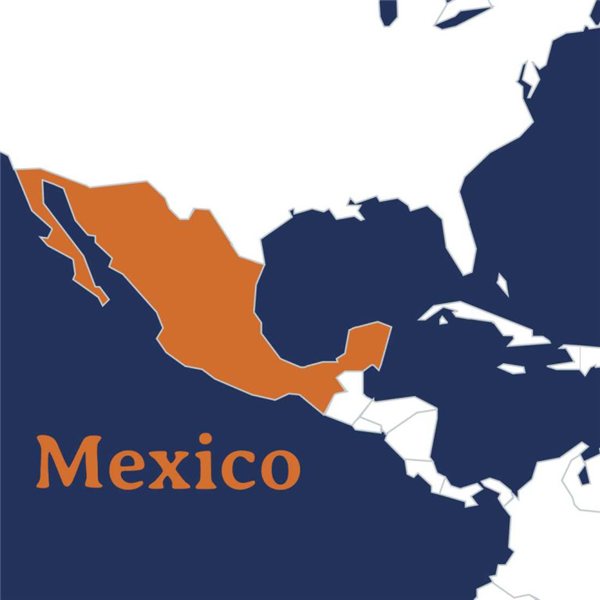 Mountain Essence Cafés Sabroa (Mexico) Decaffeinated (copy)-lateral