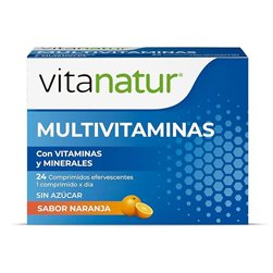 Multivitamins and Minerals 24 Tablets Vitanatur Essential