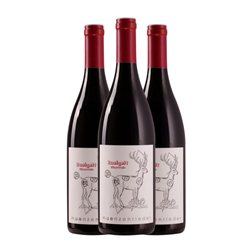 Münzenrieder Römerstein Zweigelt Neusiedlersee Reserva 75 cl Vino Tinto (Caja de 3 unidades)