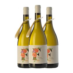 Muscàndia Deliri Floral Penedès 75 cl Vino Blanco (Caja de 3 unidades)