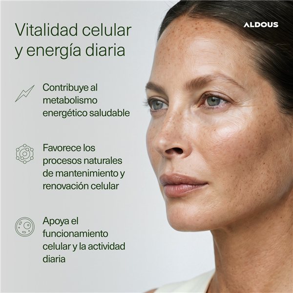 NAD + 100% with Niacinamide, Resveratrol, Q10 - 100 Days - Energy, Anti-Aging-trasera