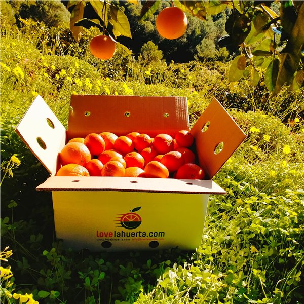 Naranjas de mesa 20 KG.-detalle