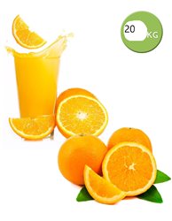 Naranjas de mesa 20 KG.