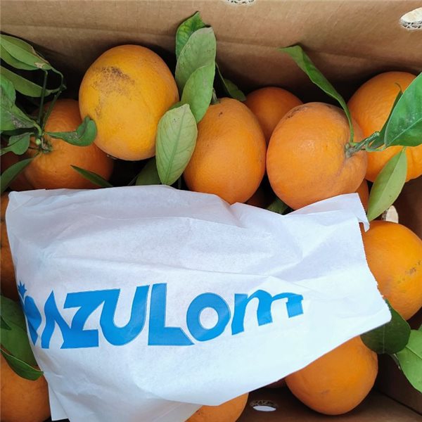 Valencia Oranges - Premium-detalle