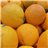 Valencia Oranges - Premium-izquierda