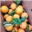 Valencia Oranges - Premium-trasera