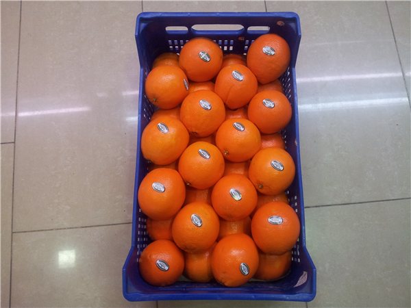 NARANJAS  SELECCION 5 KILOS-detalle