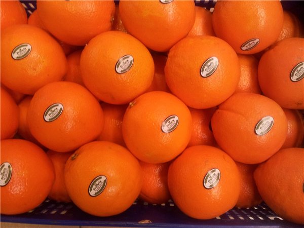 NARANJAS  SELECCION 5 KILOS-trasera