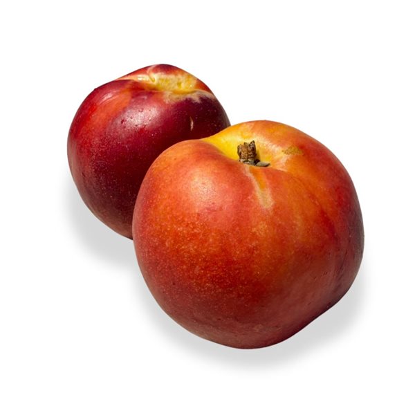 Nectarine-izquierda
