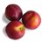 NECTARINES-lateral