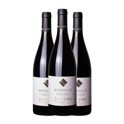 Nicolas Gauffroy Pinot Negro Bourgogne 75 cl Vino Tinto (Caja de 3 unidades)