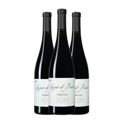 Niepoort Lagar de Baixo Dão XO Extra Old — Extra Viejo 75 cl Vino Tinto (Caja de 3 unidades)